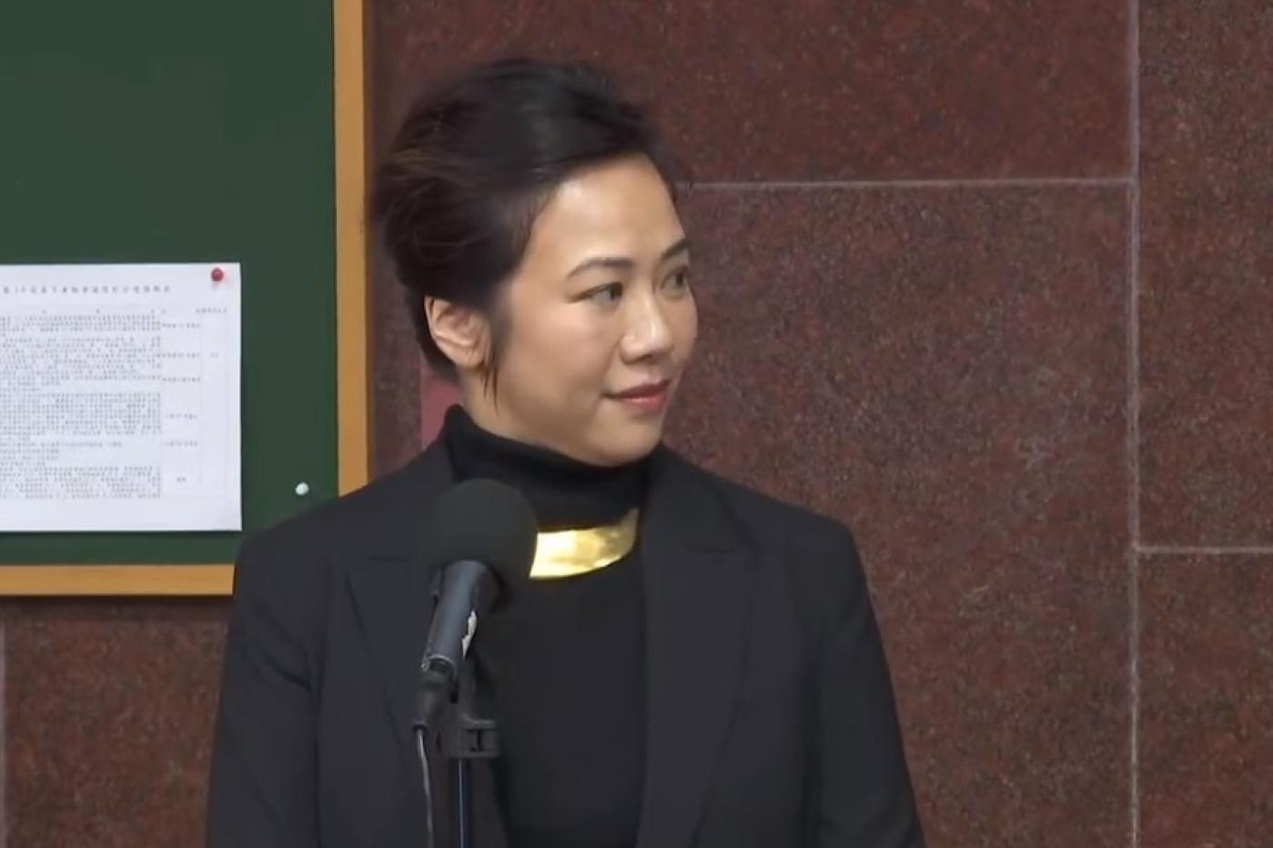 吳欣盈今以召委身分主持衛環委員會審查「人工生殖法部分條文修正草案」等案，並接受媒體訪問。翻攝畫面