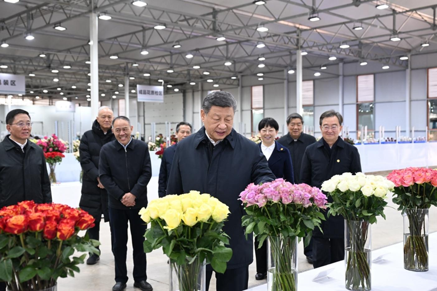 一頭白髮的習近平出現在雲南花市，和過去黑髮、年富力強的形象有明顯的差別。翻攝新華社